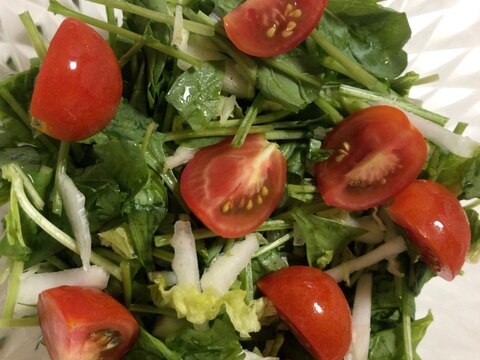 ほうれん草 白菜 トマトのサラダ